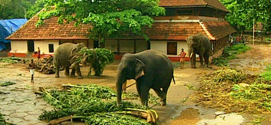 Punnathurkotta